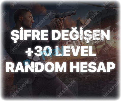 ZULA ŞİFRE DEĞİŞEN +30 LEVEL RANDOM HESAP